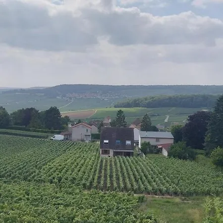 Hotel House In The Heart Of The Champagne Vineyard 3*